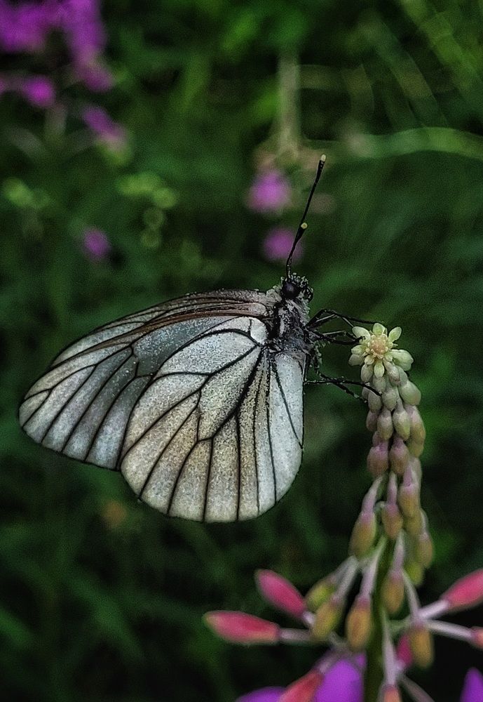 Photograph by Елена Иванова