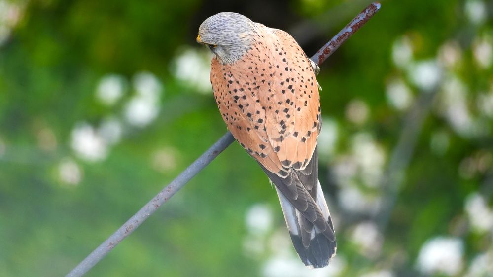 Photograph by Михаил Трусов