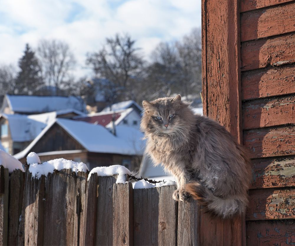 Photograph by Михаил Егоров