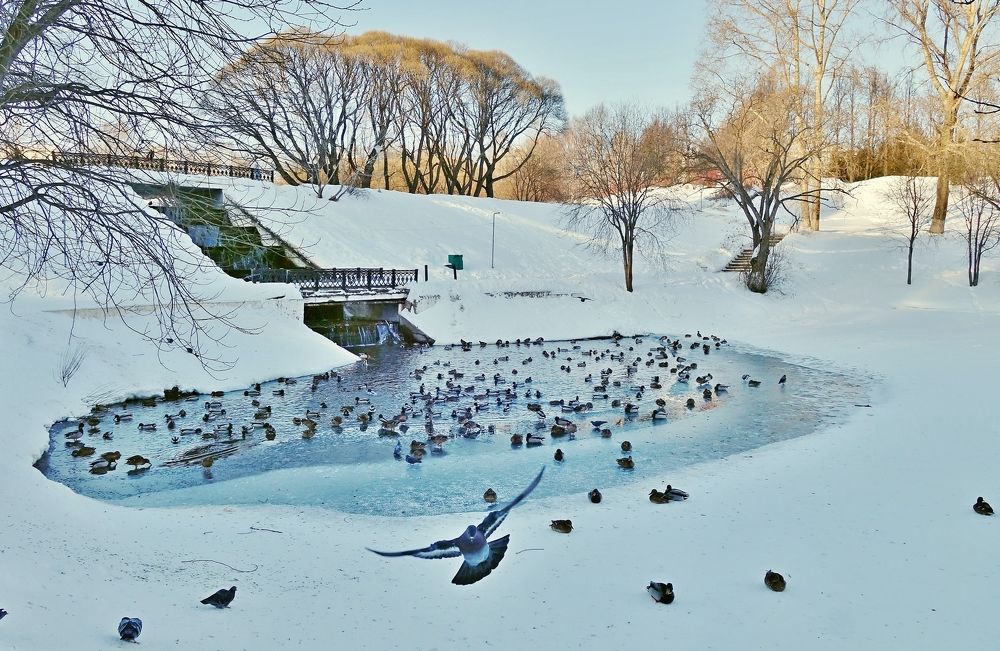 Photograph by Виктор Решетников