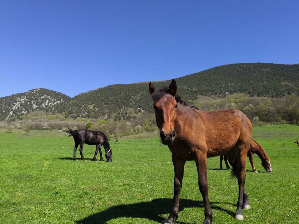 Photograph by Серёга Ануфриев