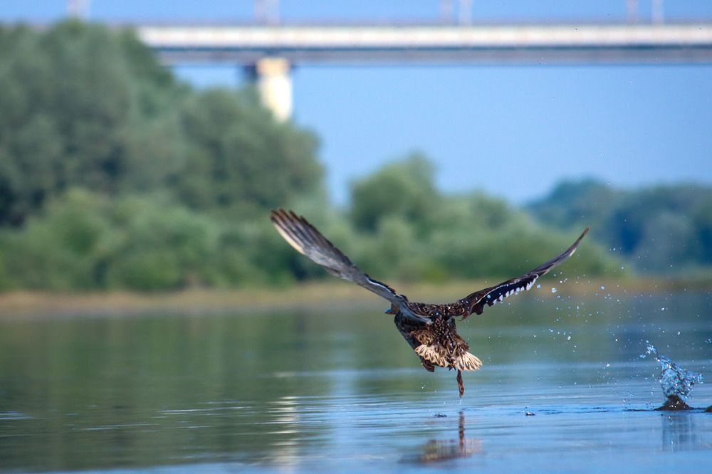 Photograph by Владимир Крылов