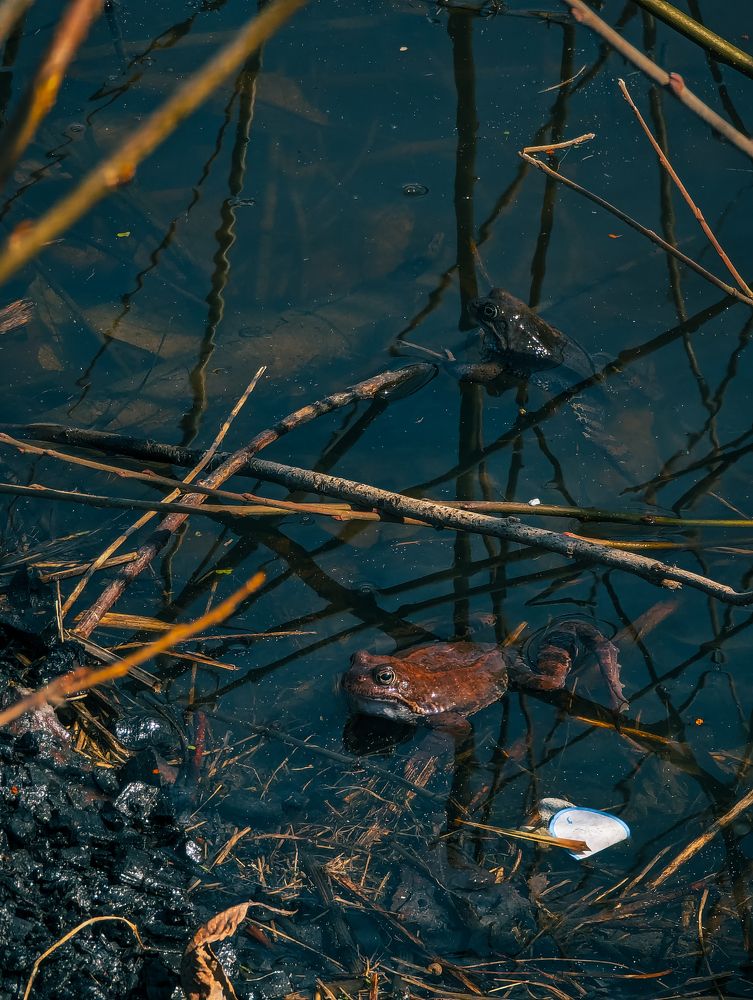 Фотография автора Мария Михайлова