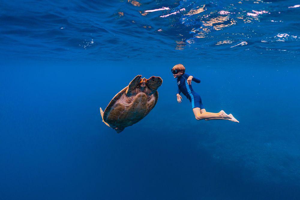 I'll show you my home, boy