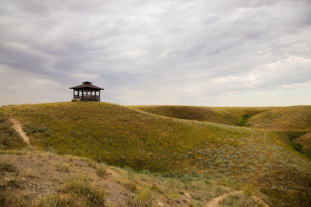 Photograph by Дмитрий Пасынков