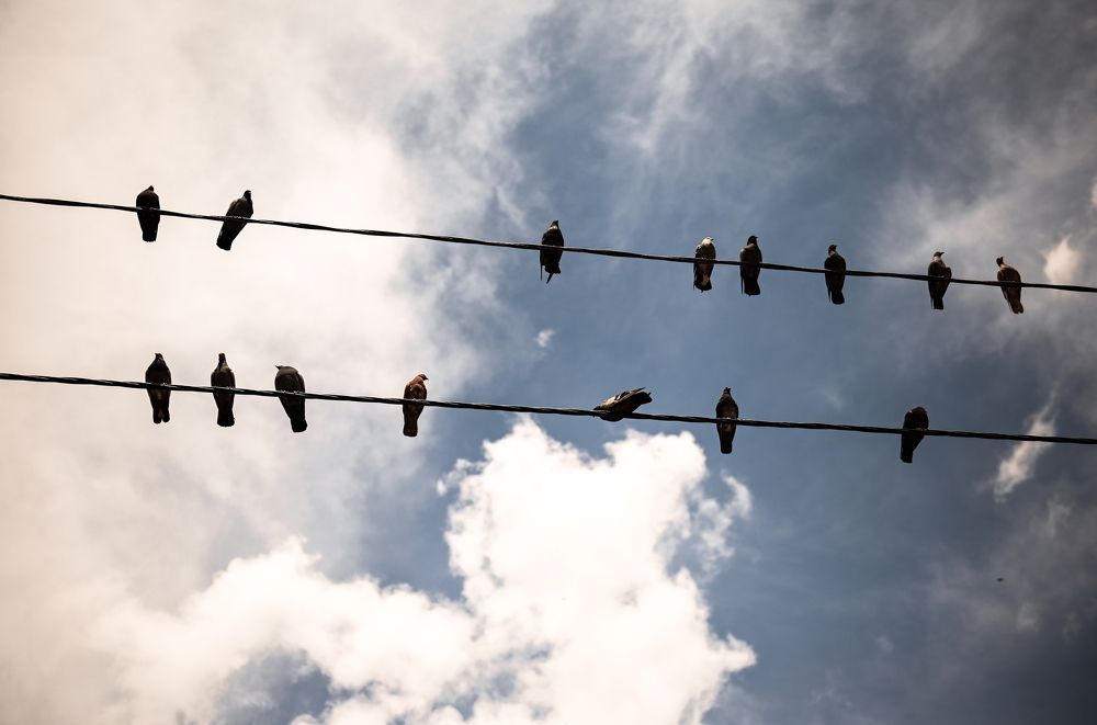 Photograph by Ильин Максим