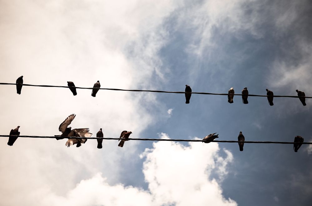 Photograph by Ильин Максим