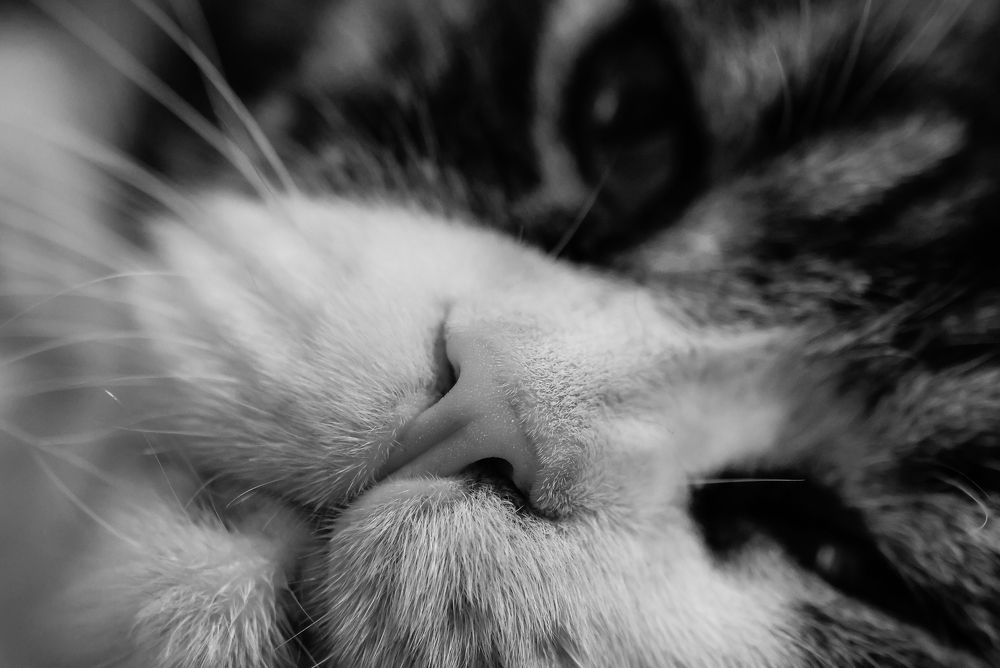 Photograph by Евгения Сенченко