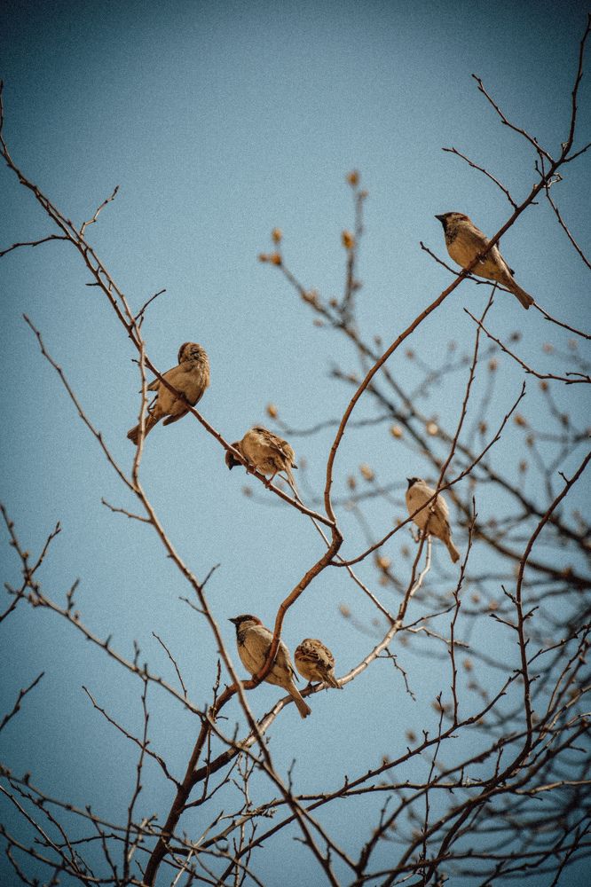 Фотография автора Ксения Вабищевич