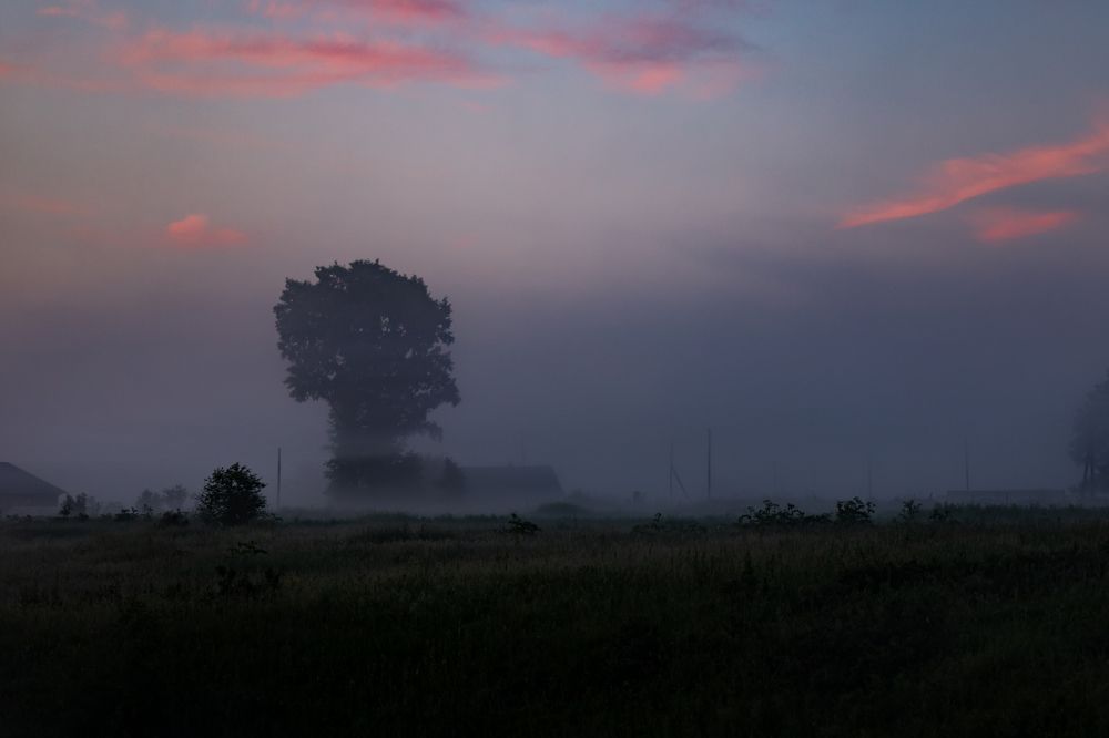 Photograph by Анна Оськина