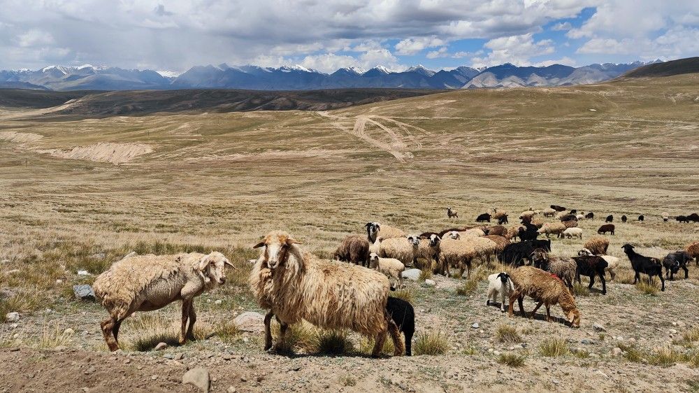 Photograph by Сергей Межин