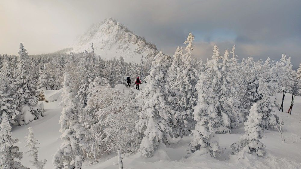 Photograph by Сергей Межин