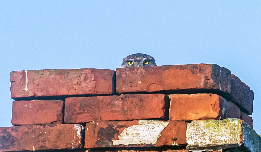 Photograph by Савчук Сергей