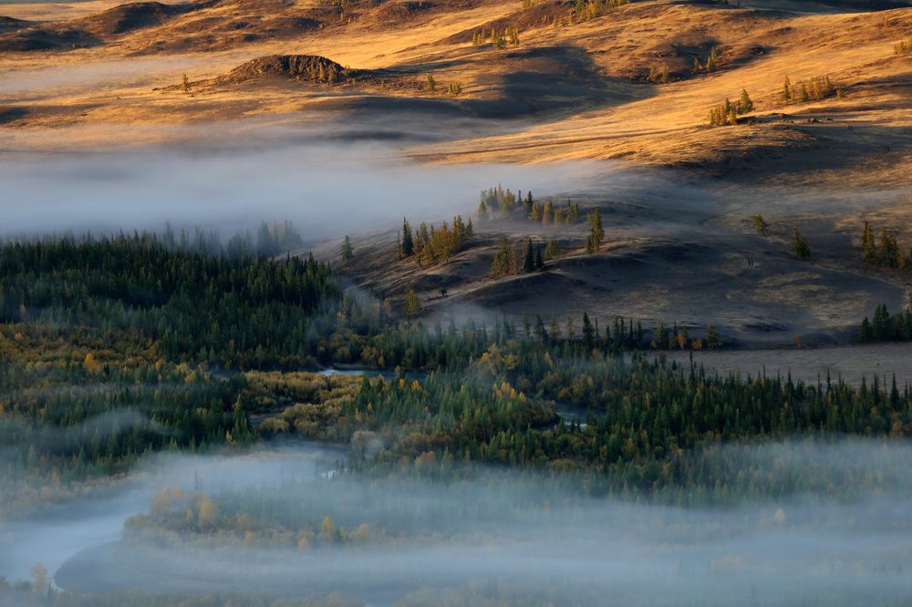 Photograph by Галина Хвостенко