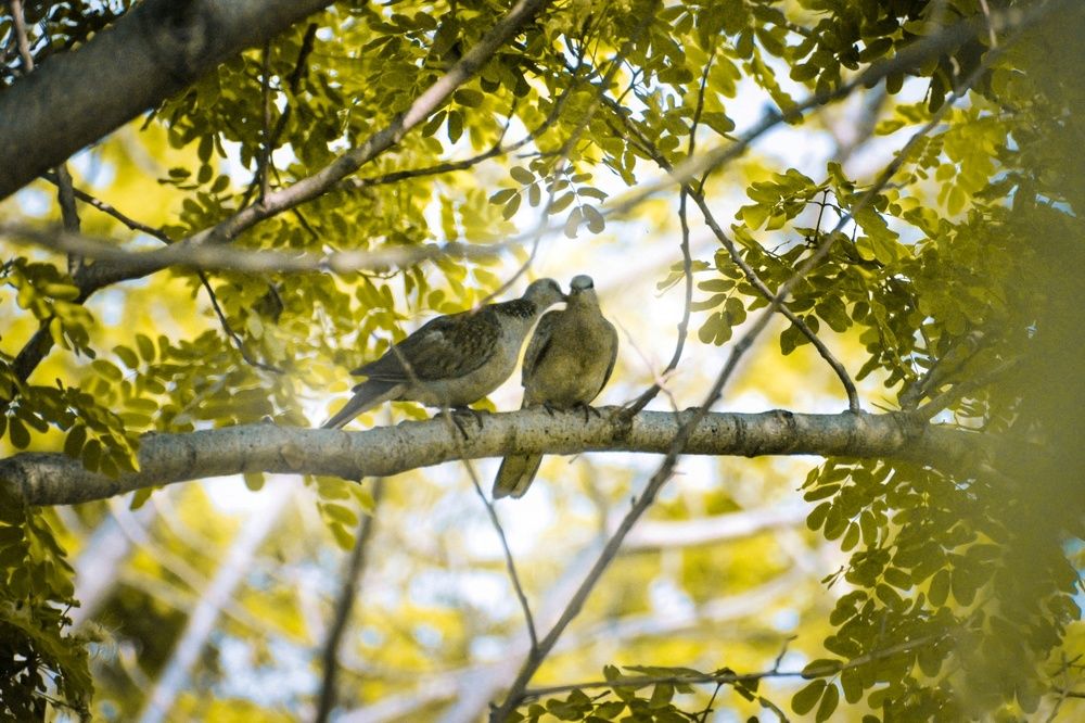 Photograph by Kiranmay Paramanik