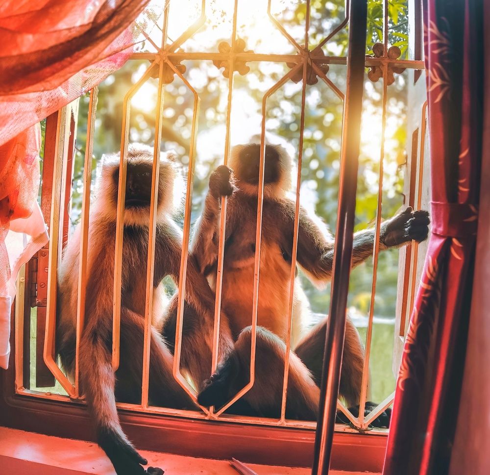 Photograph by Kiranmay Paramanik