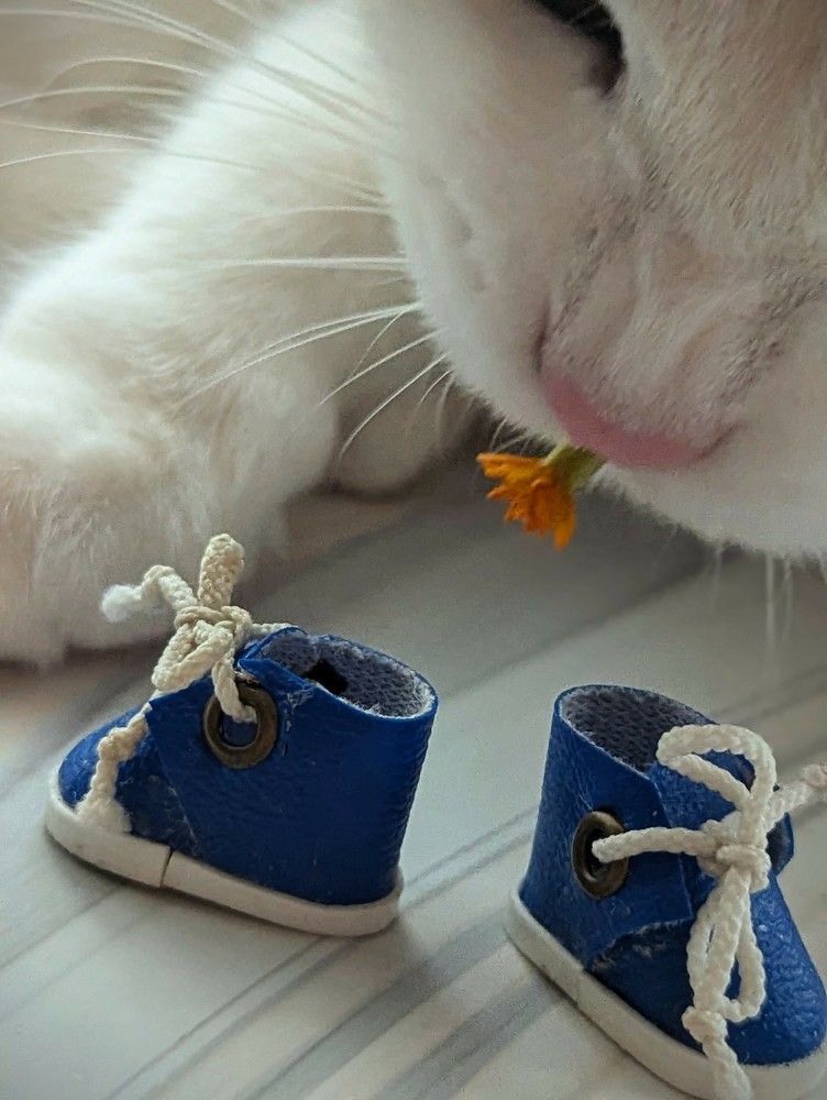 Photograph by AlexaL