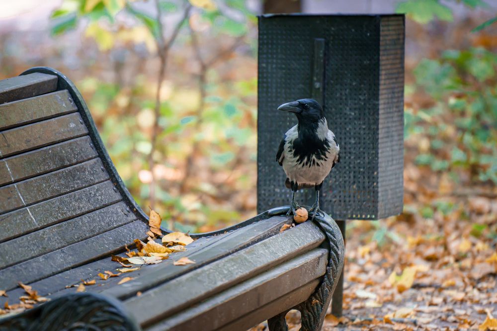 Photograph by Алексей Еремеев