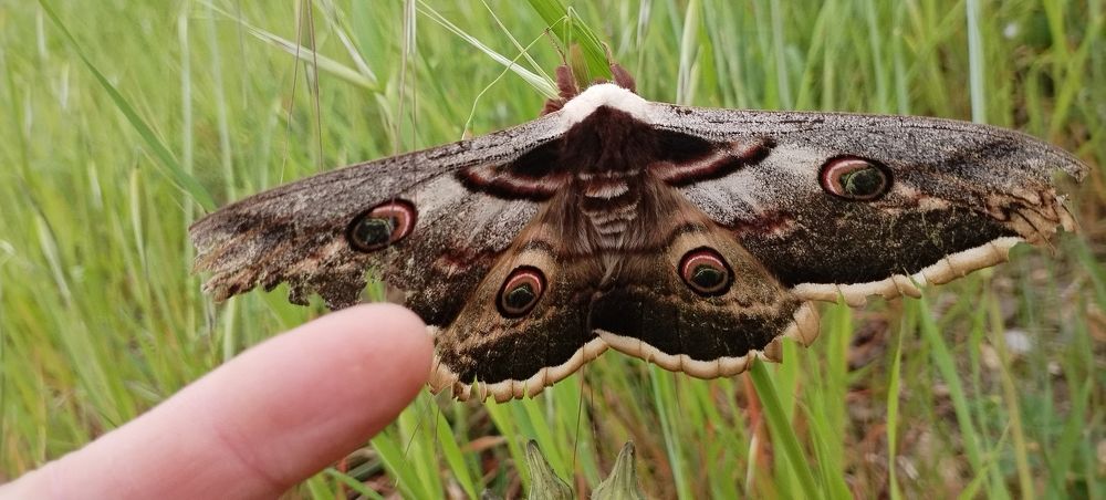 Photograph by Ирина Корнева