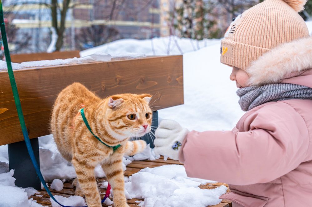 Знакомство.