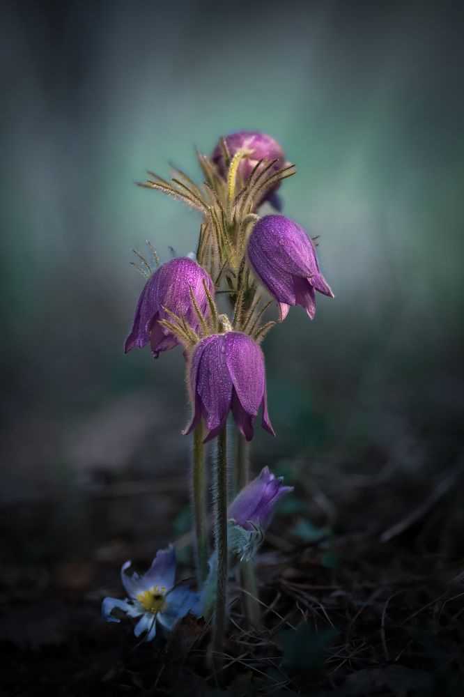 Photograph by Alexander Semenko
