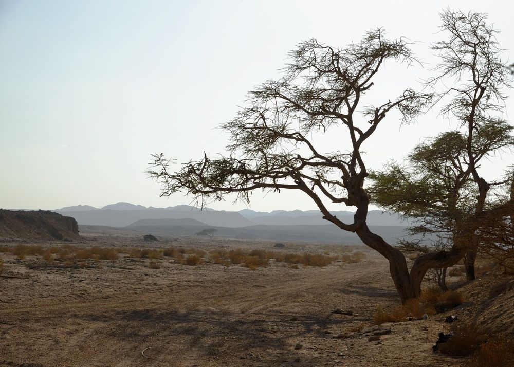 Photograph by Юрий Чернов