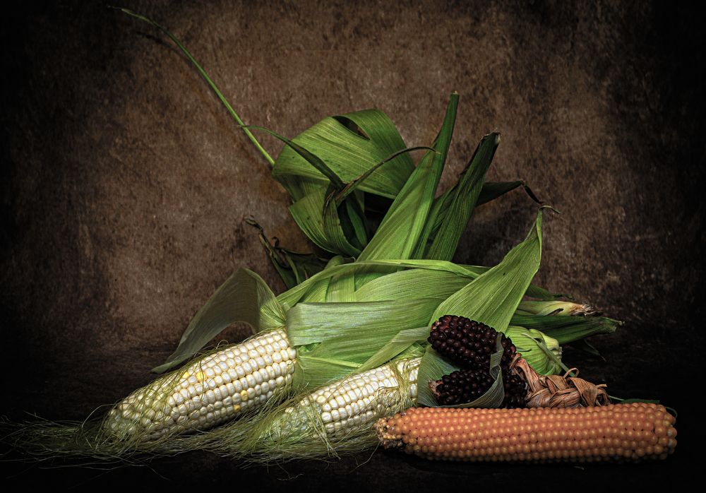 Photograph by Alex Kalpus