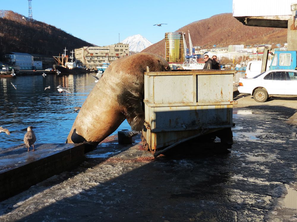 Здесь вкуснее