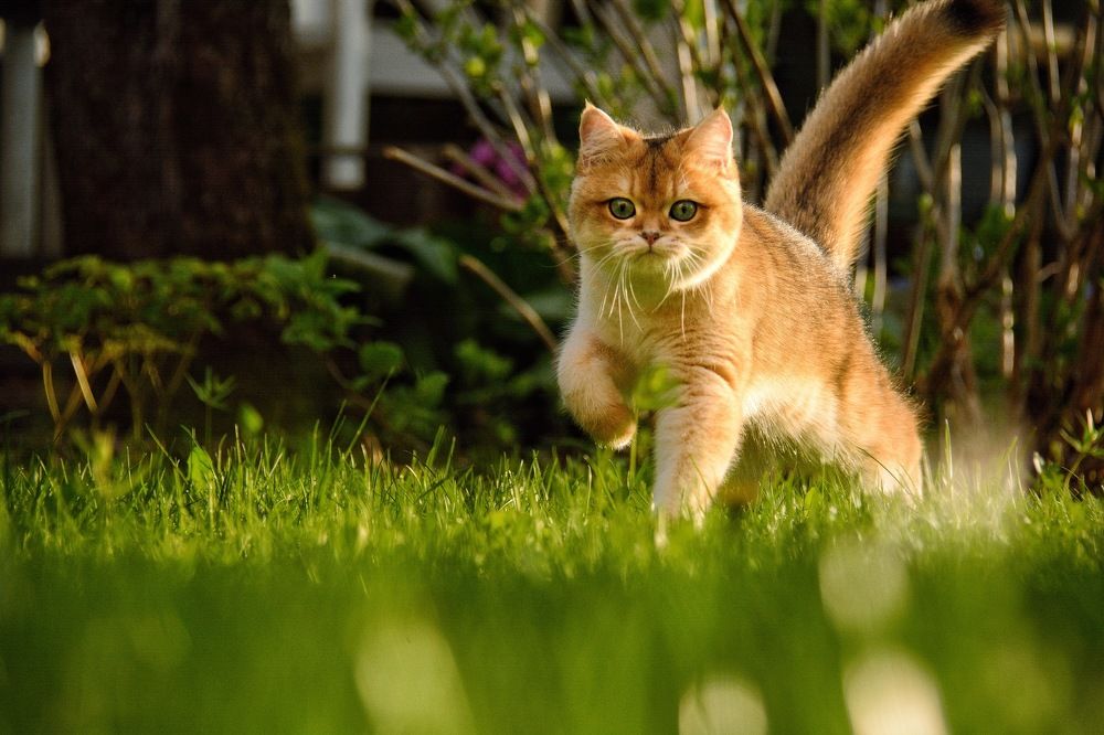 Photograph by Romanov Vyacheslav