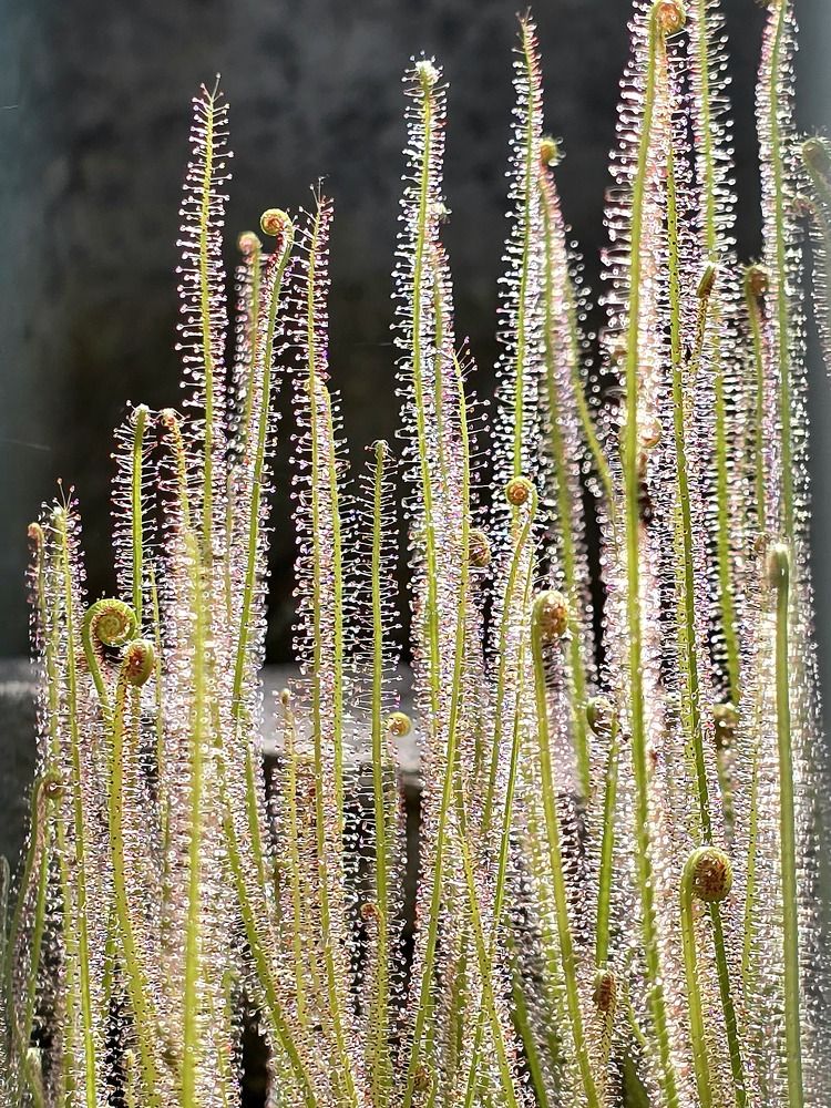 Photograph by Анастасия