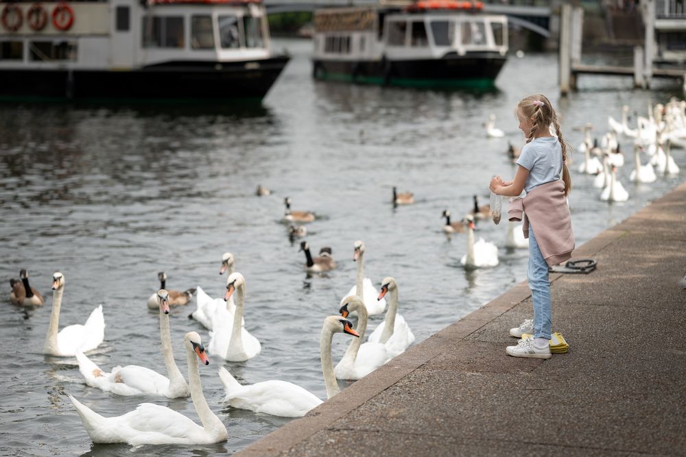 Photograph by Анастасия