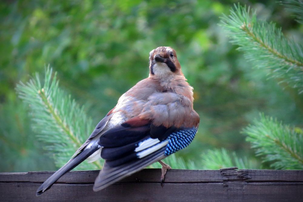 Photograph by Наташа Фишер