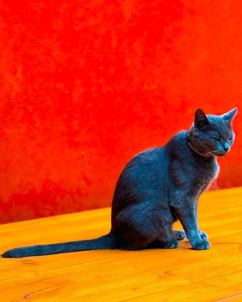 Photograph by daria eipert