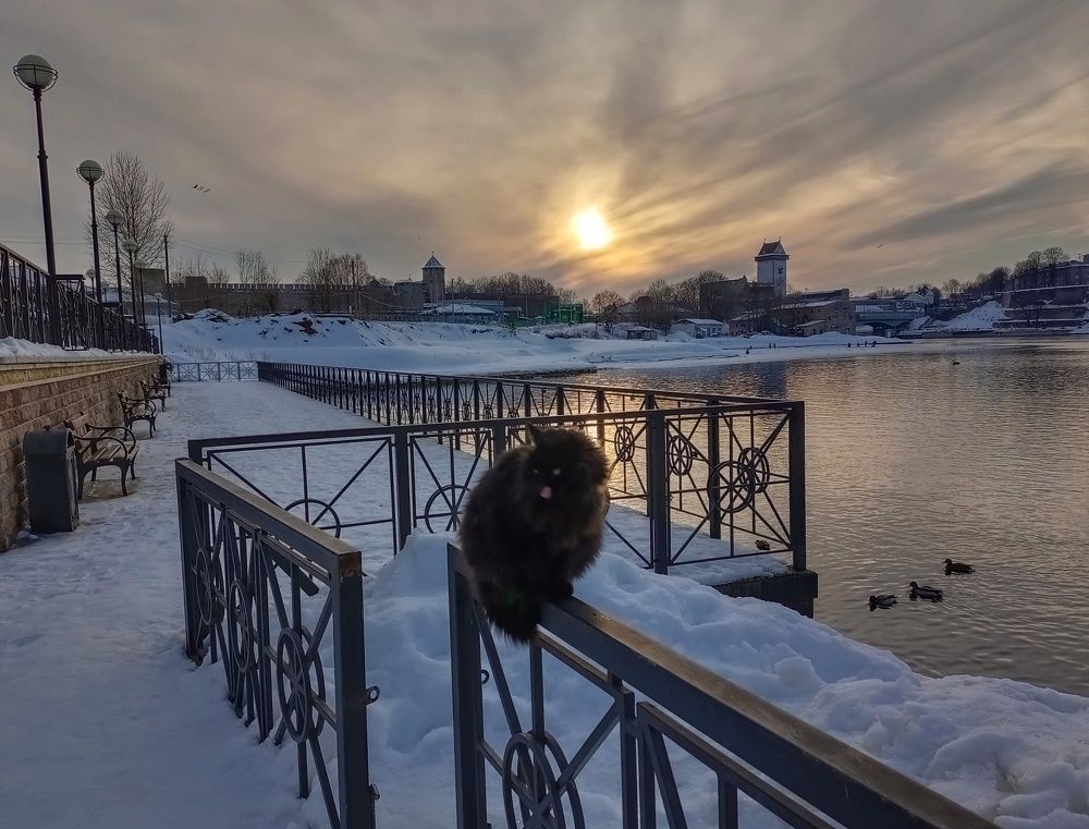 Photograph by Людмила Викулова