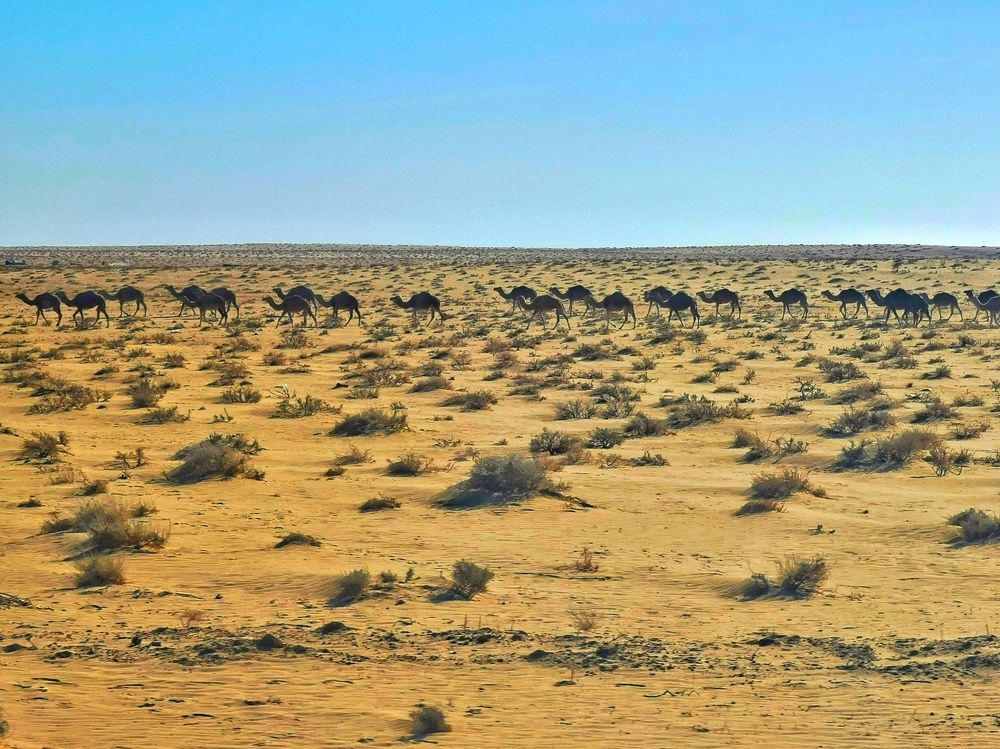 Photograph by Azzeddine Memmou