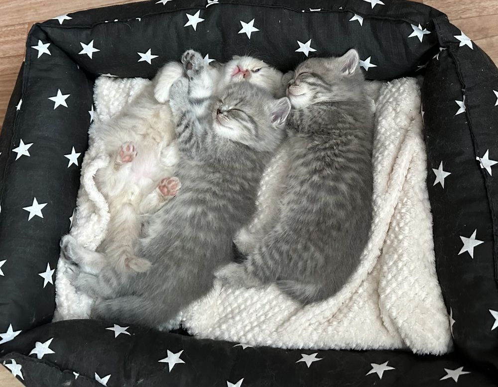 Photograph by Мария Вершинина