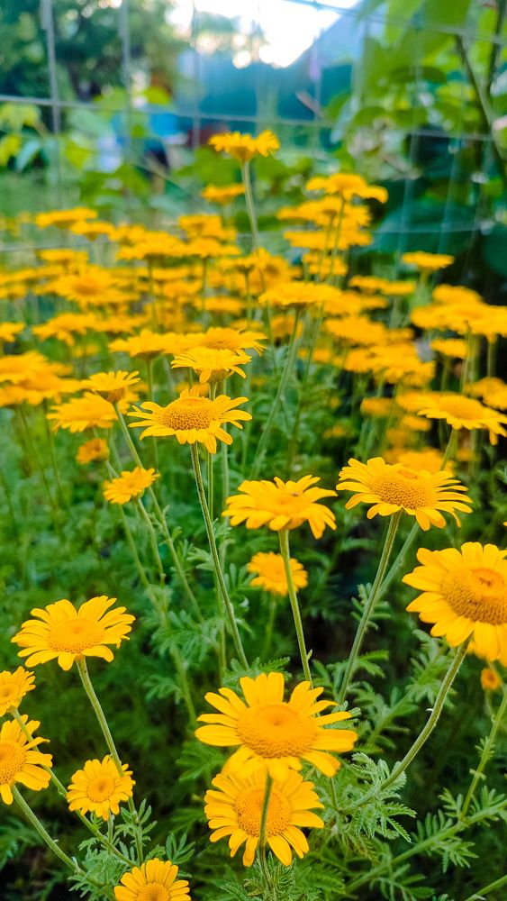 Photograph by Оксана Аралова