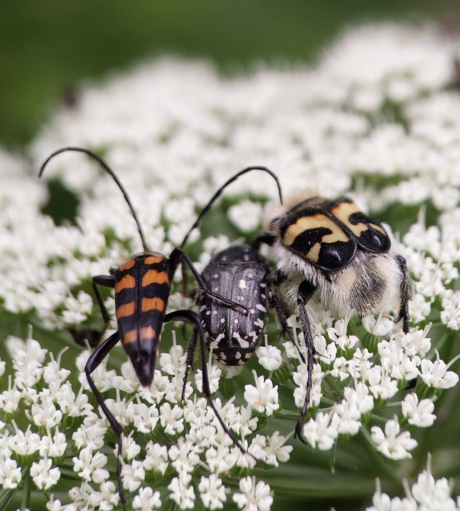 Photograph by Данила Черезов