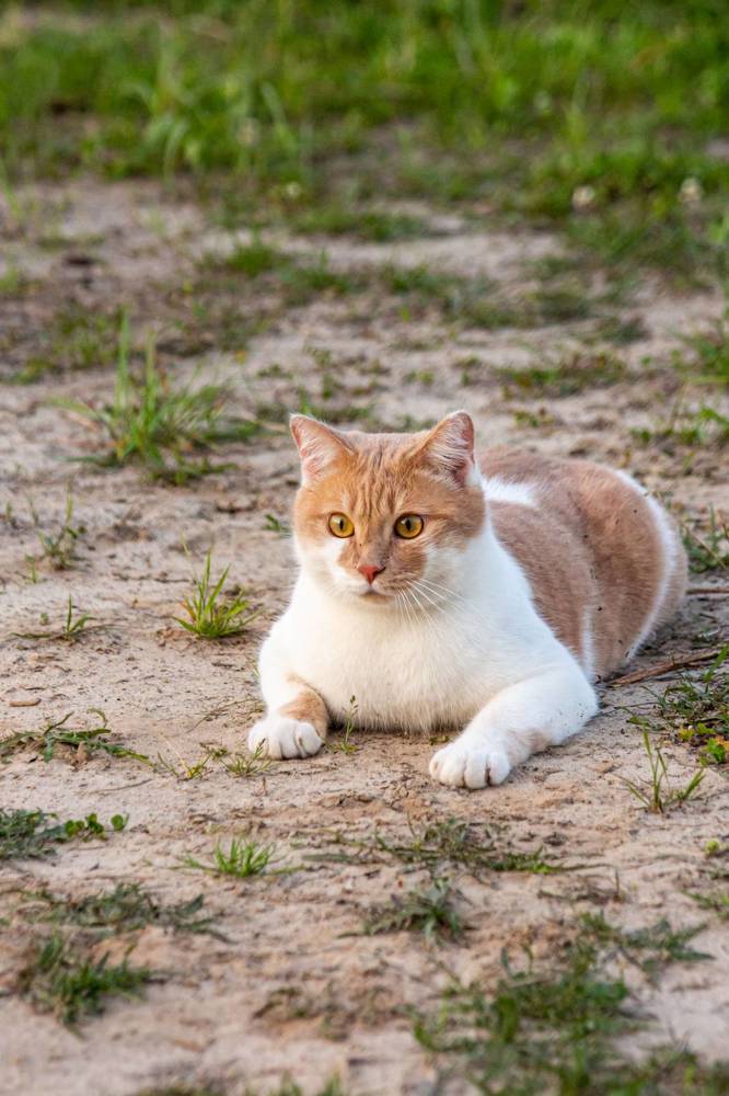 Photograph by Мария Степанова