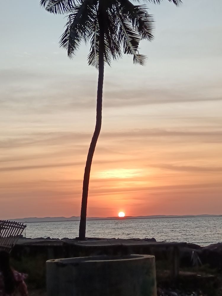 Photo #10795185