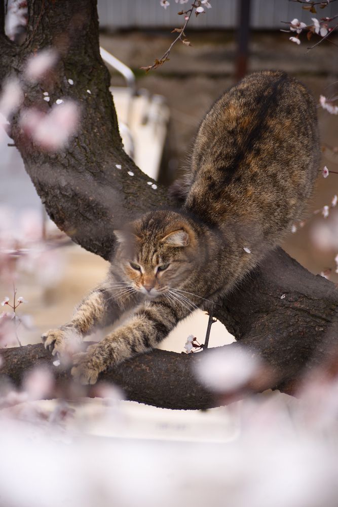 Photograph by Ирина Баринова