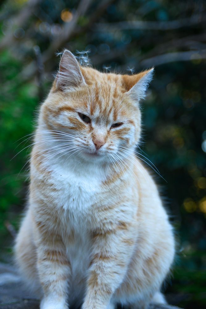 Photograph by Ирина Баринова