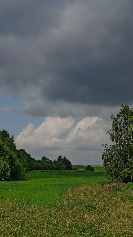 Photograph by Людмила Щуцкая