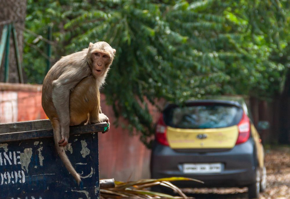 Photograph by Диана Бородзе