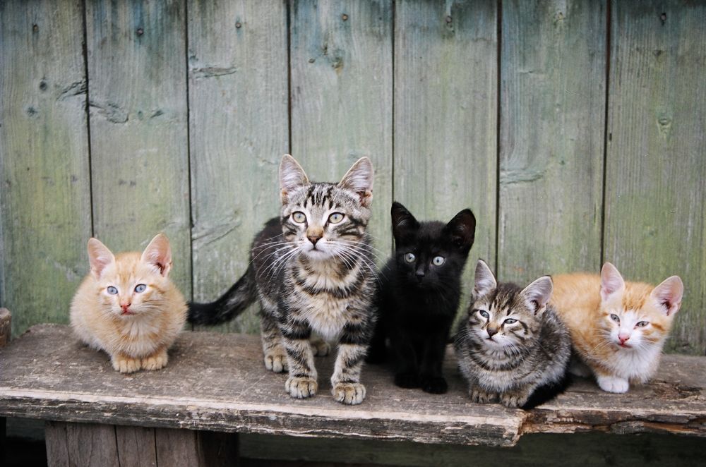 Photograph by Харис Шахмаметьев