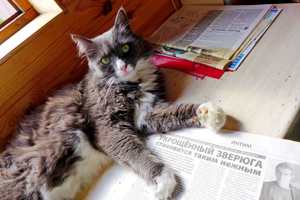 Photograph by Харис Шахмаметьев