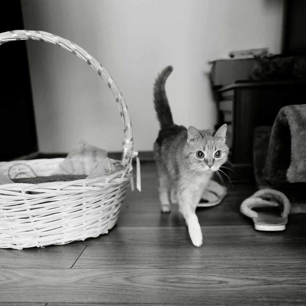 Photograph by Дмитрий Зауморов