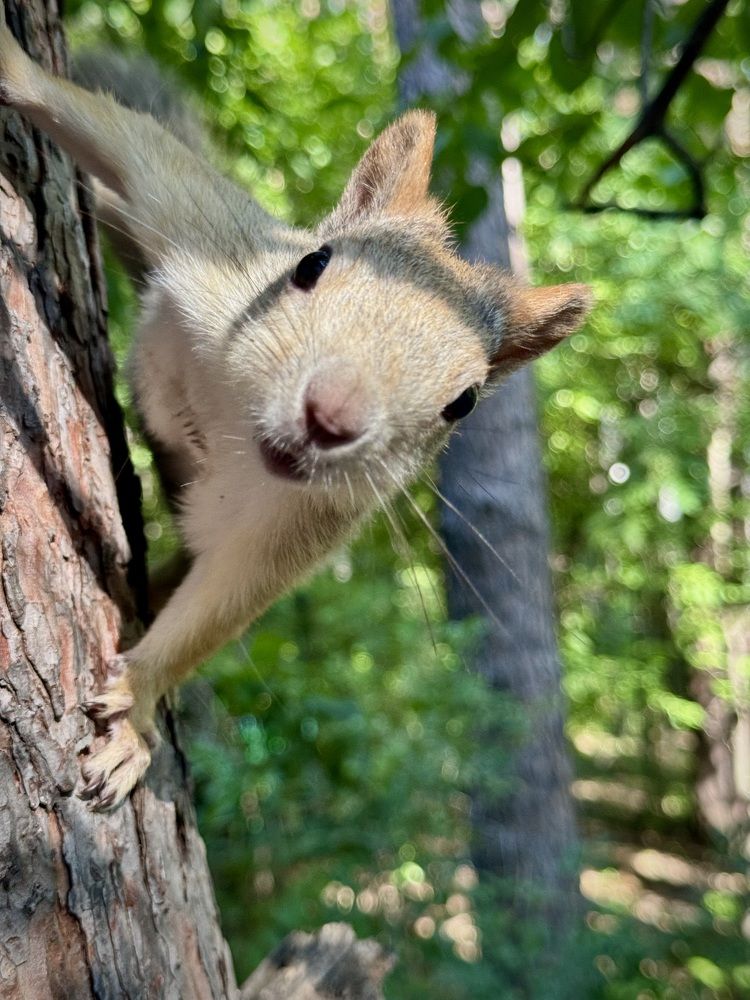 Фотография автора Евгения Елисеева