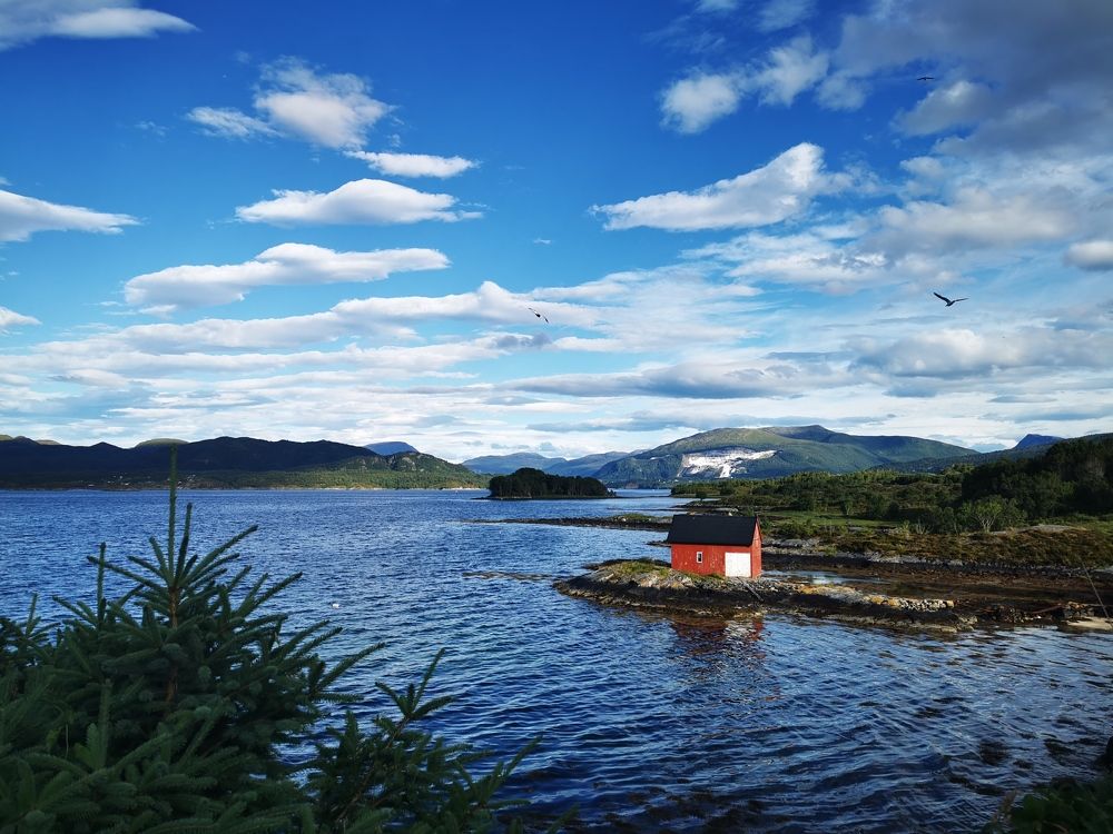 Фотография автора Uljana Kuchar