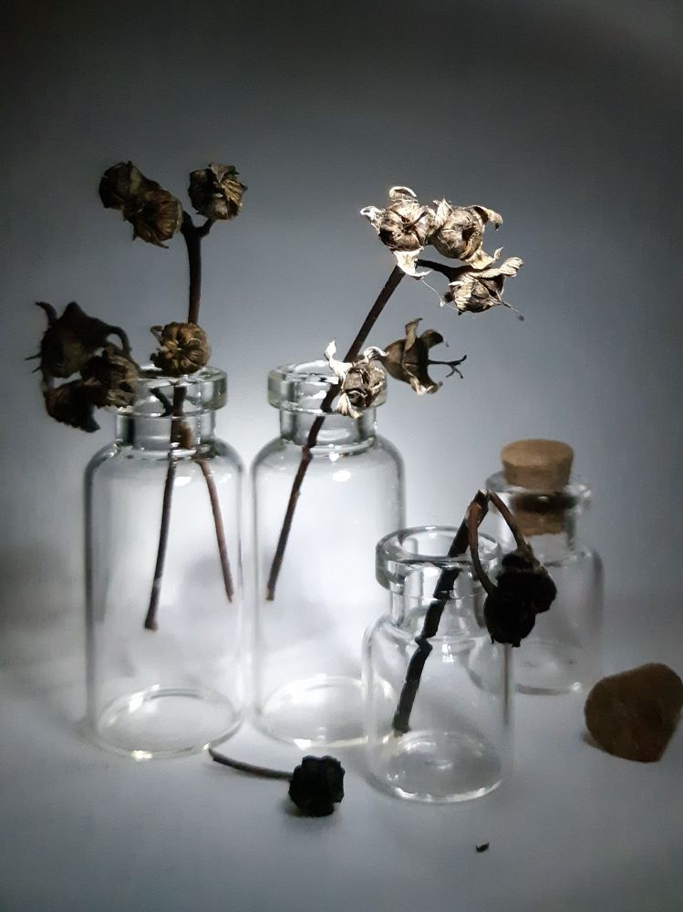 Photograph by Ольга Хромова